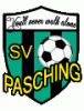 Paschinga1991