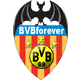 Benutzerbild von BVBforever