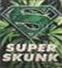 Benutzerbild von SV Superskunk
