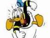 Benutzerbild von Killer-Enten