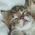 Benutzerbild von Fallonfilsoda