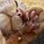 Benutzerbild von Mascext