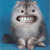 Benutzerbild von Tuncson