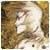 Benutzerbild von BibEquill