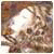 Benutzerbild von anigmaHon