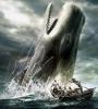 Benutzerbild von moby dick