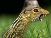 Benutzerbild von Nightlong1980