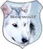 Benutzerbild von FC Seewolf