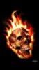 Benutzerbild von ghostrider...