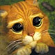 Benutzerbild von puss