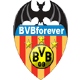 BVBforever